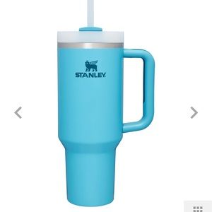 Stanley 40 oz tumbler “pool”